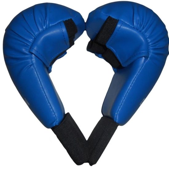 blue-goodwin-karate-gloves