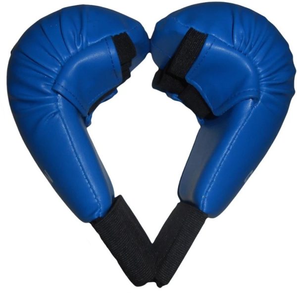 blue-goodwin-karate-gloves